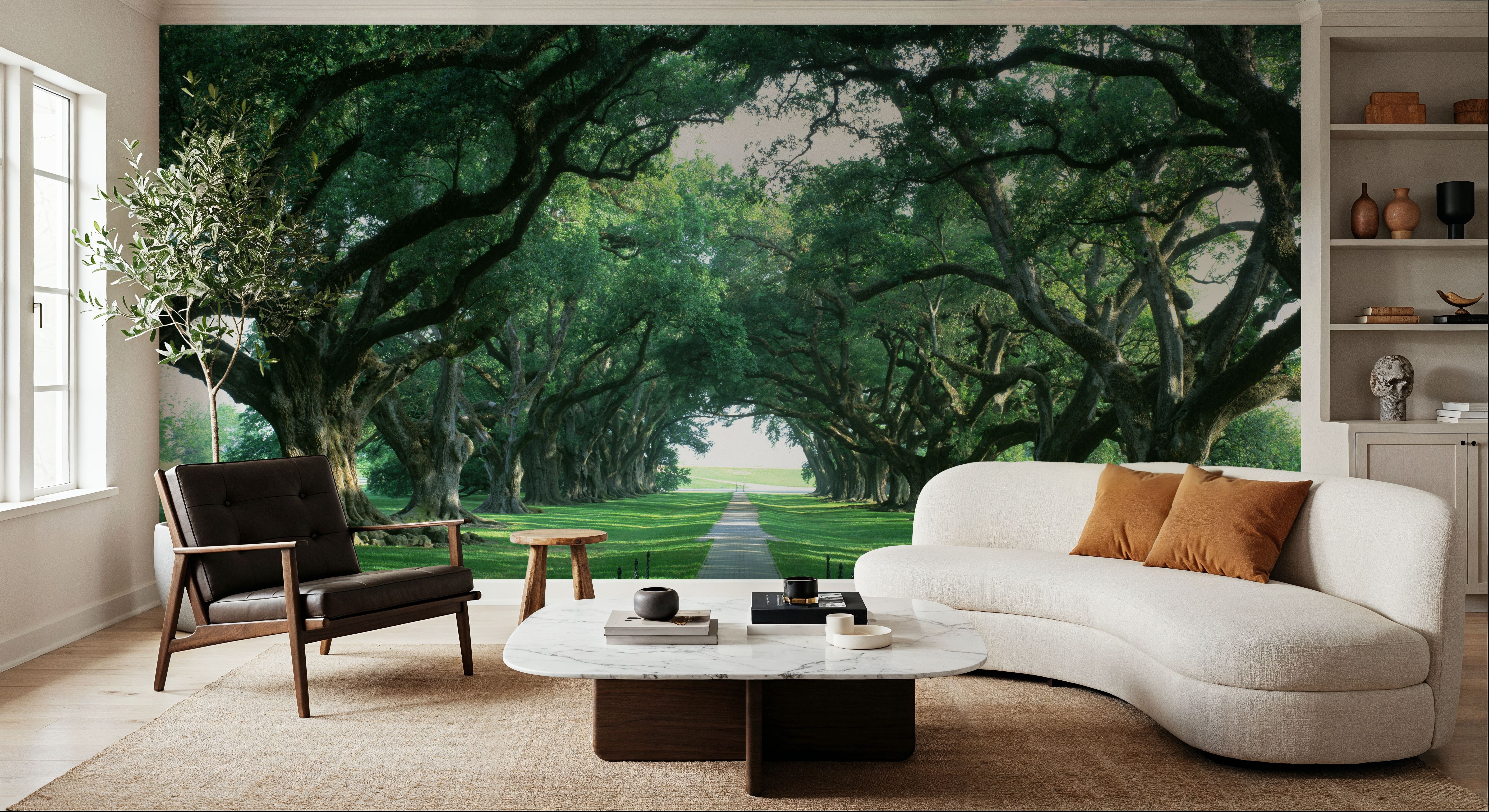 Ancient Oak Avenue