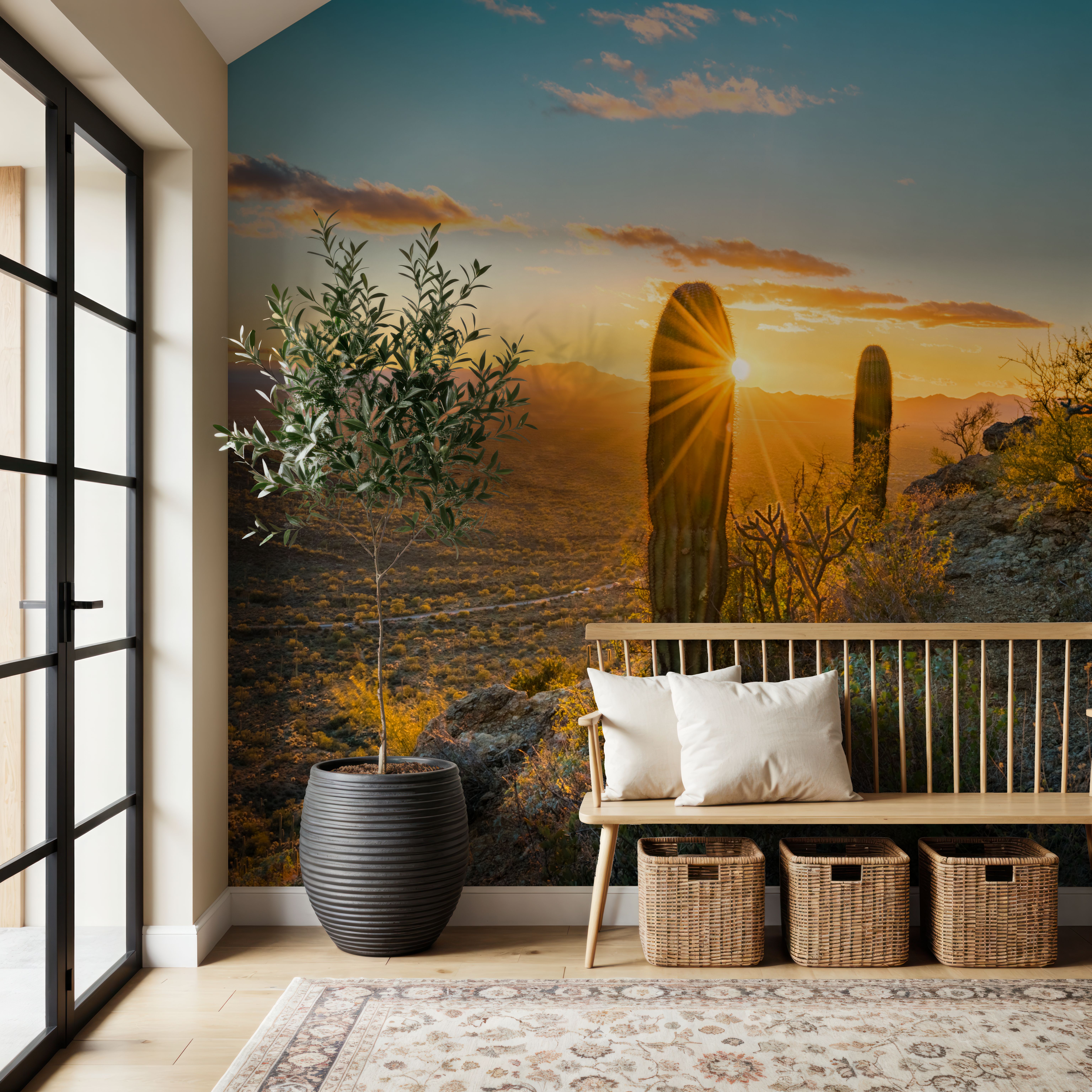 Saguaro Cacti