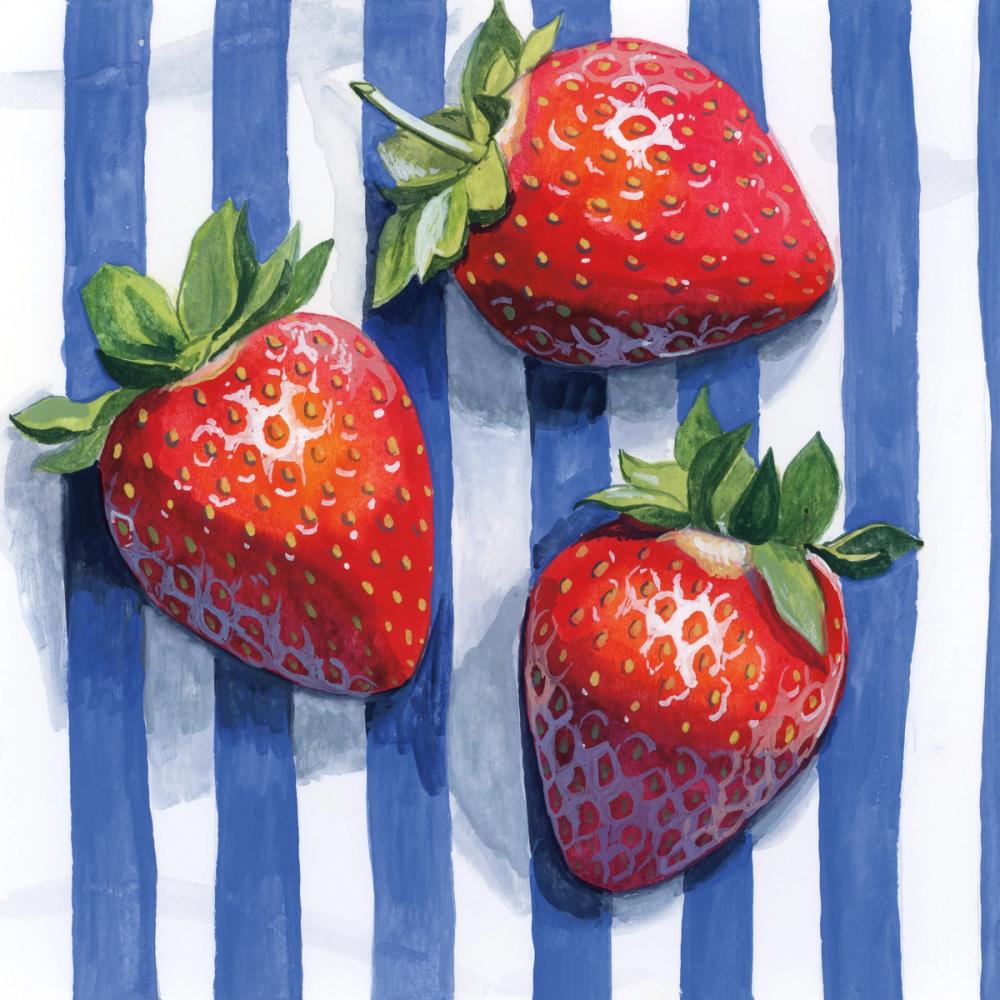 Stripe Cloth Berries