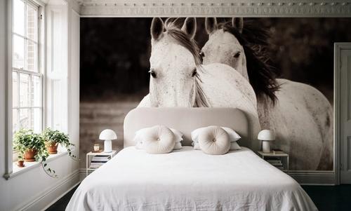 Two Wild Horses Sepia