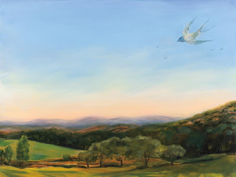 Barn Swallows Over Fable Farm