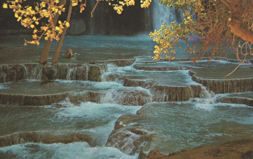 Greetings from the Creek - Screenprint Postcard