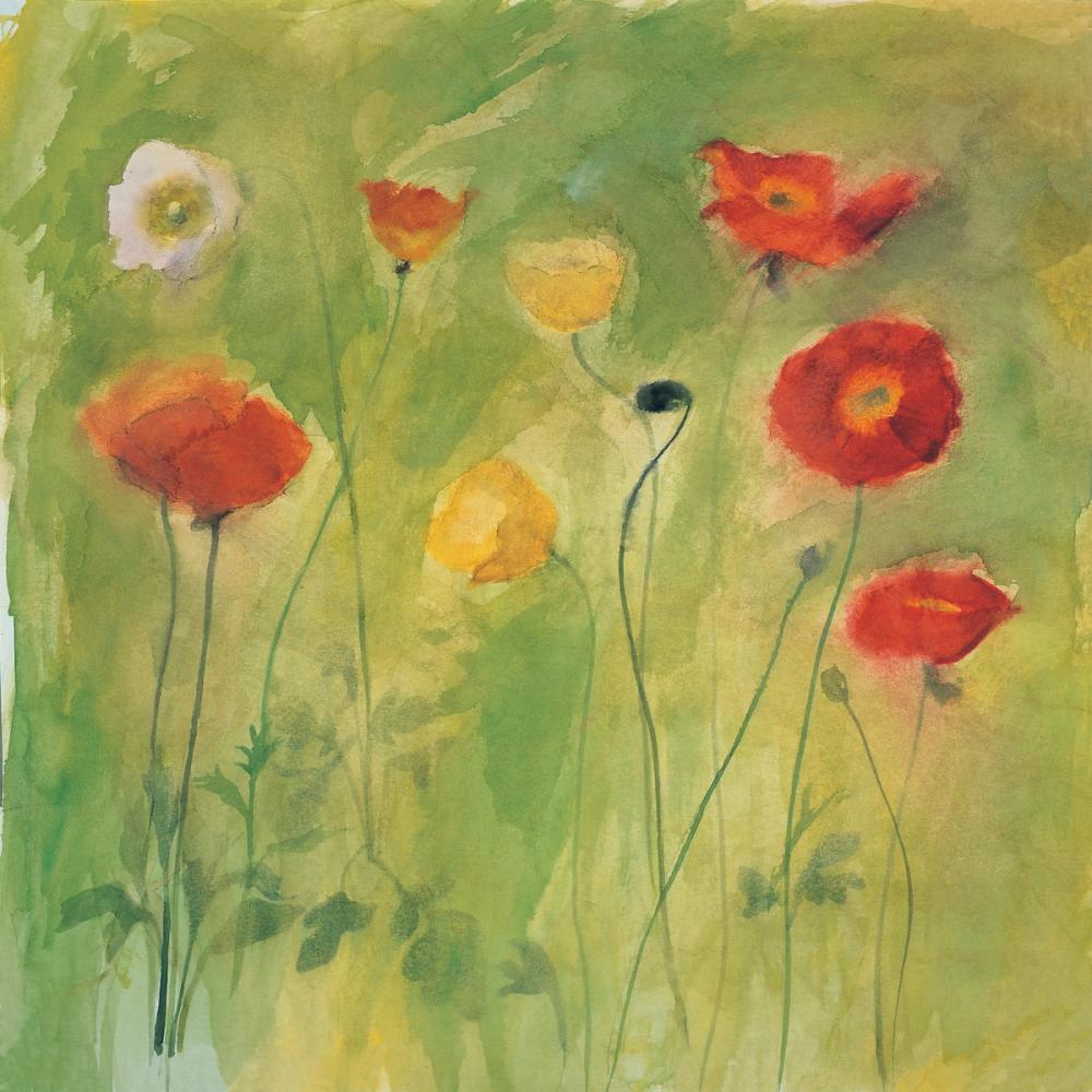 Poppies in Light Breeze