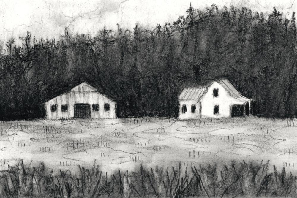 Farm Study II