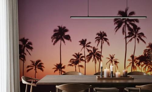 Amber Tropical Horizon