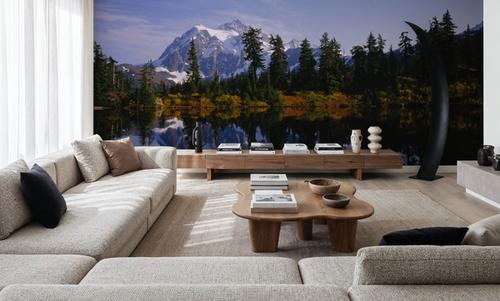 Alpine Reflection