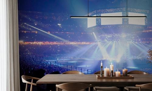 Concert Spotlight