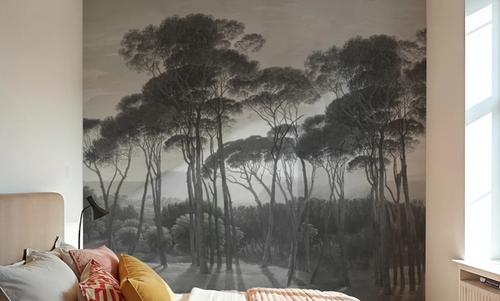 Mediterranean Pine Landscape, Gray