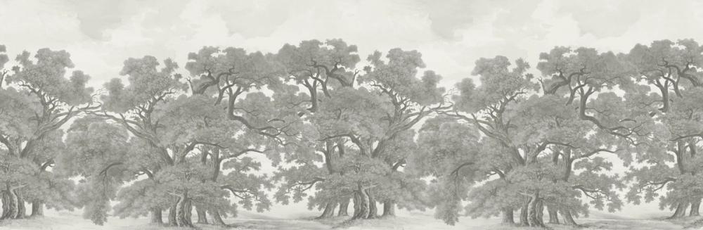 Oak Haven, Graphite