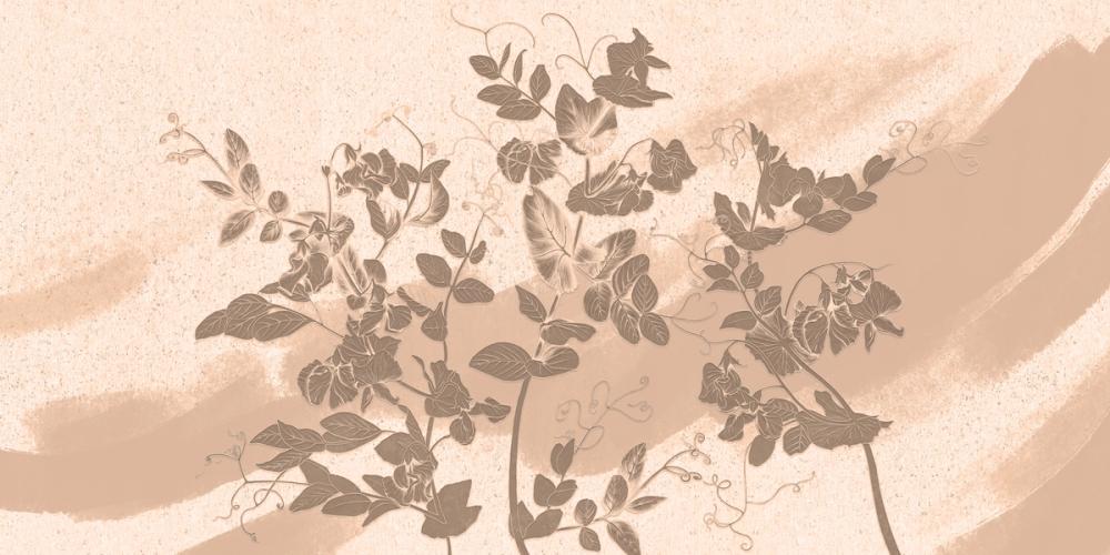 Sweet Peas Stroke Warm