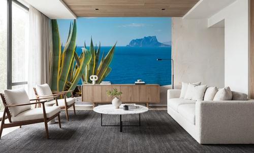 Agave Views