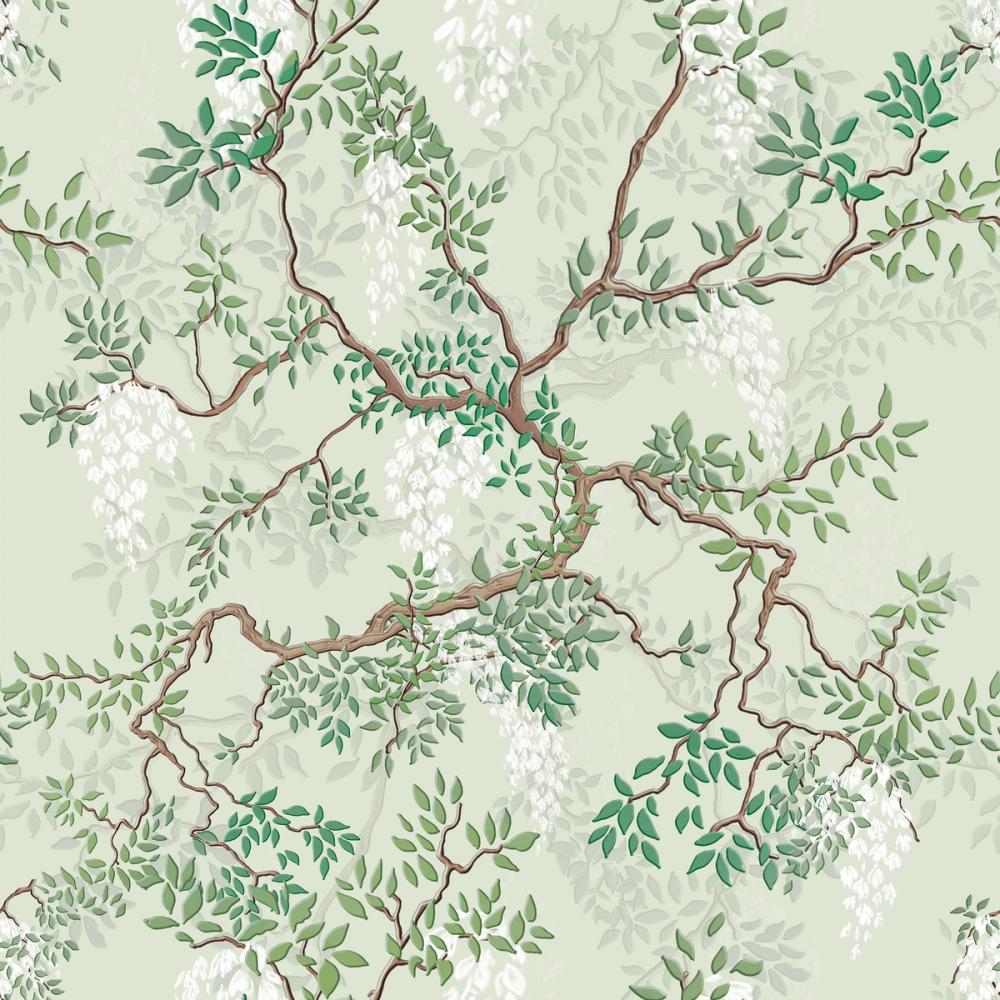 Climbing Wisteria, Sage