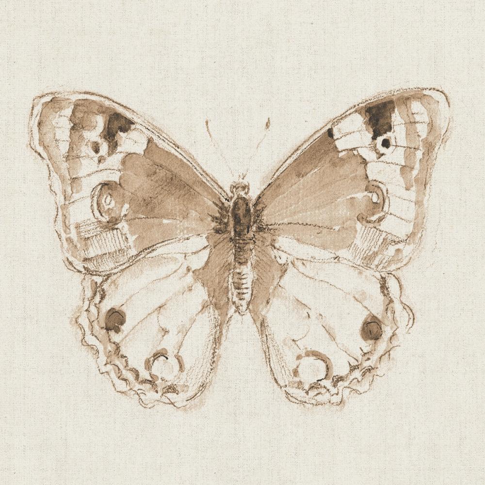 A Blue Note Butterfly I