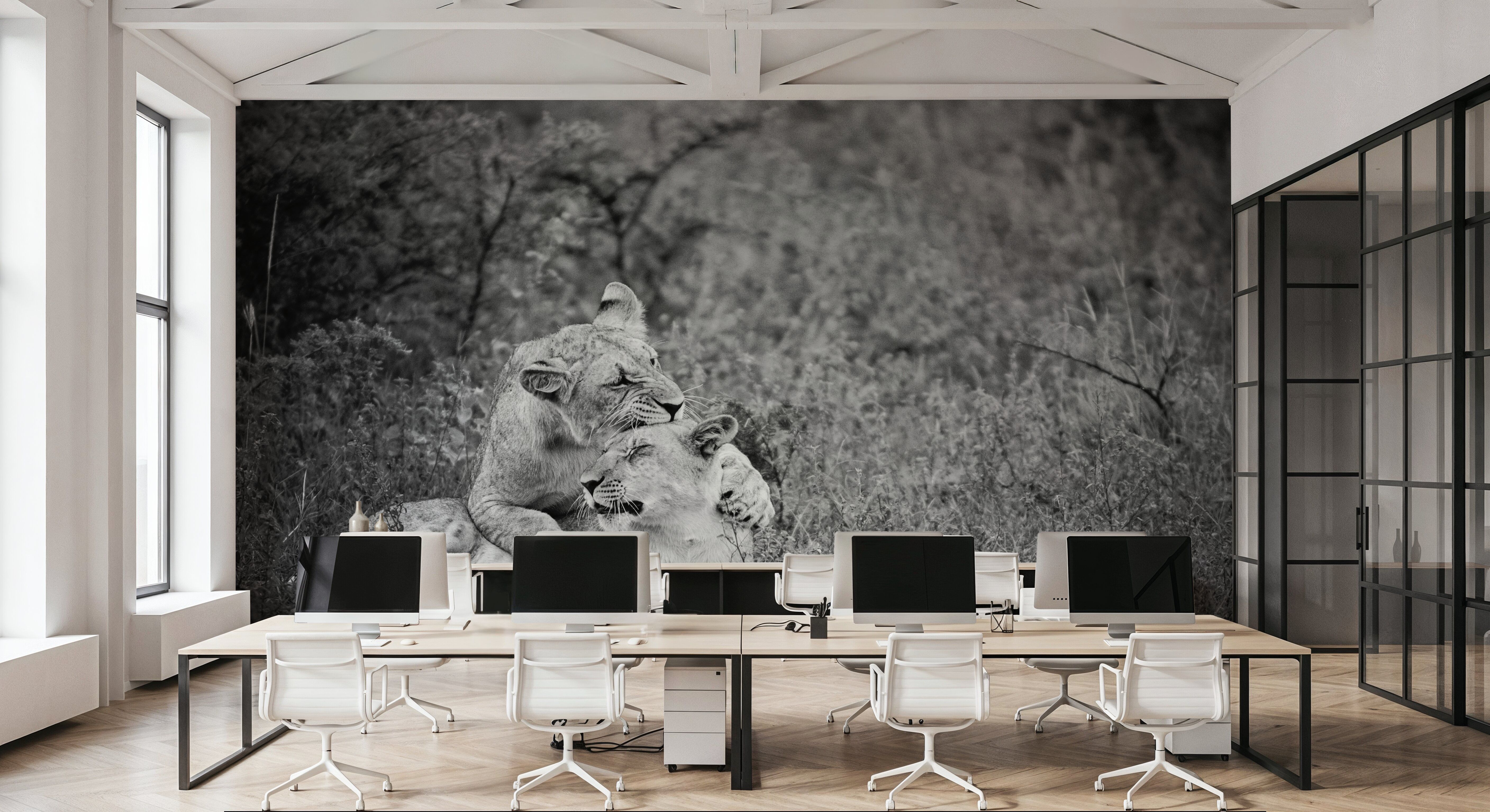 Playful Lions BW