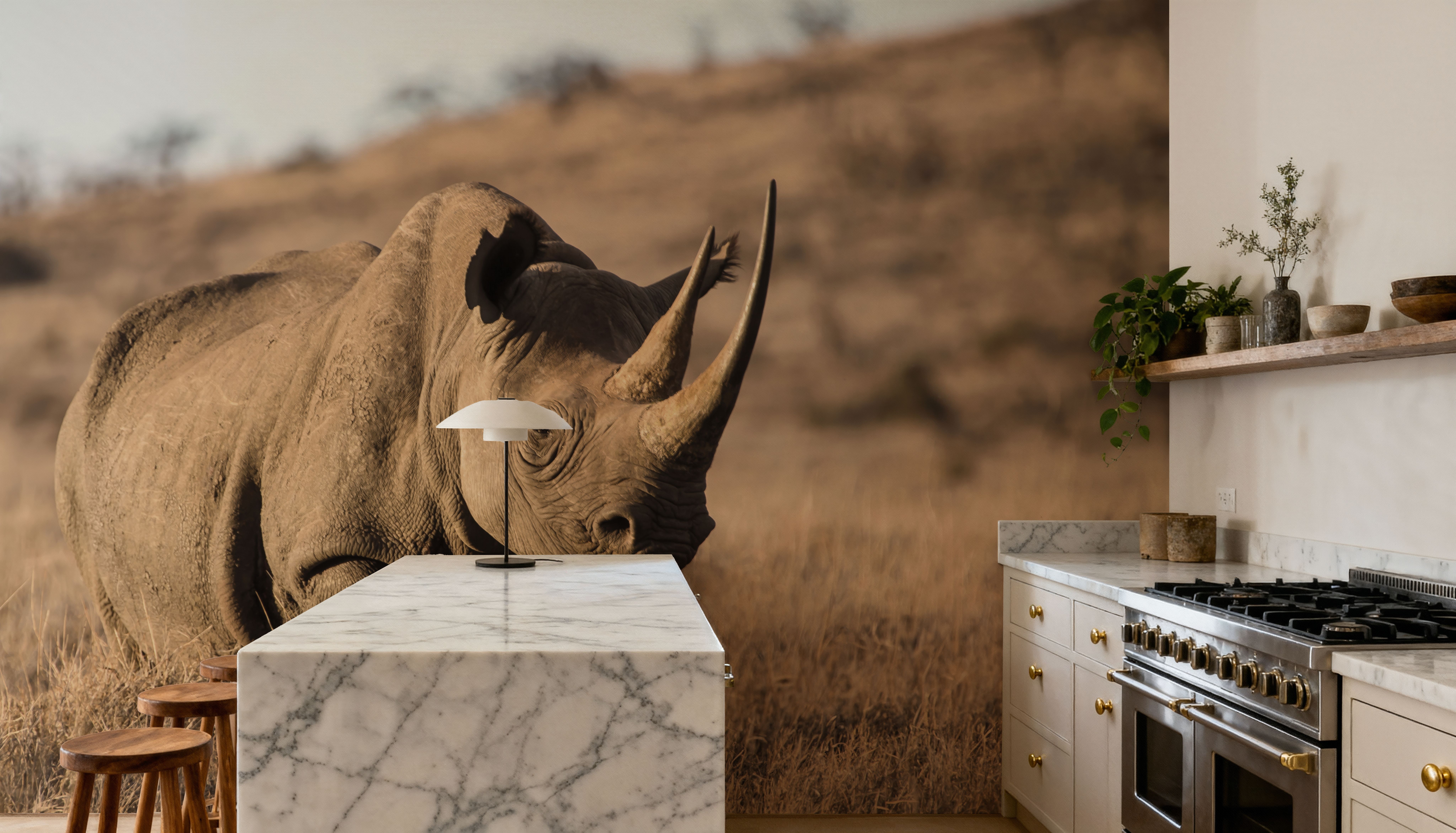 Kenyan Rhino