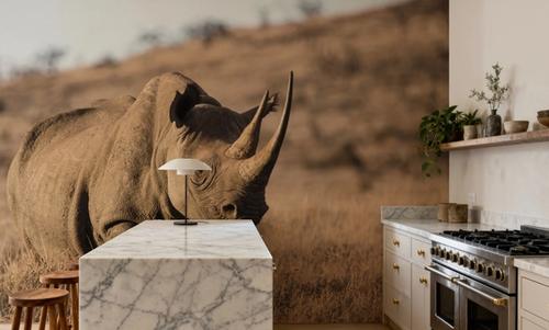 Kenyan Rhino