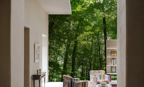 Woodland Serenity