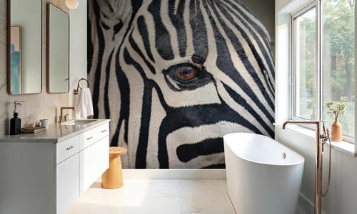 Zebra Face