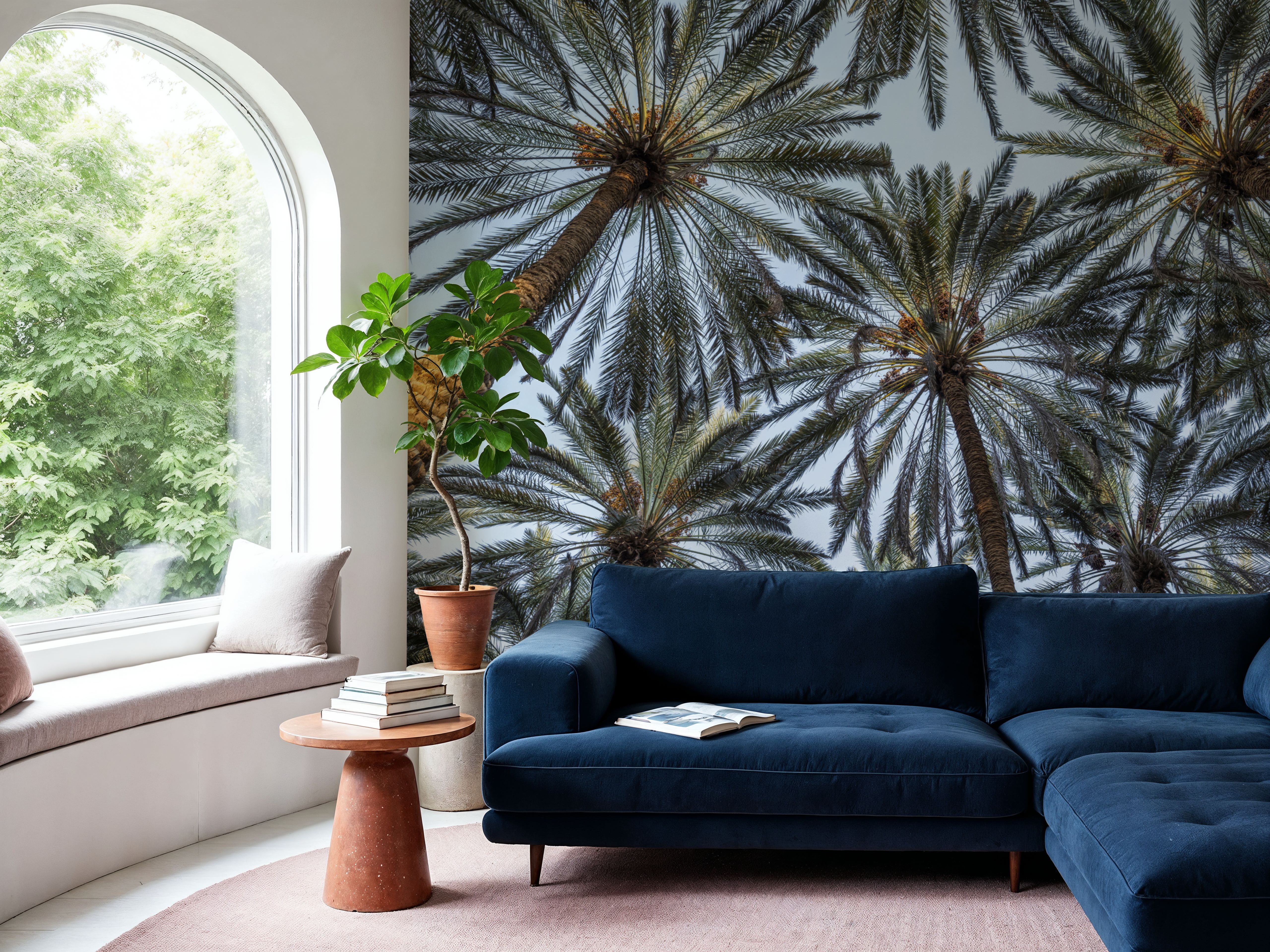 Tropical Canopy