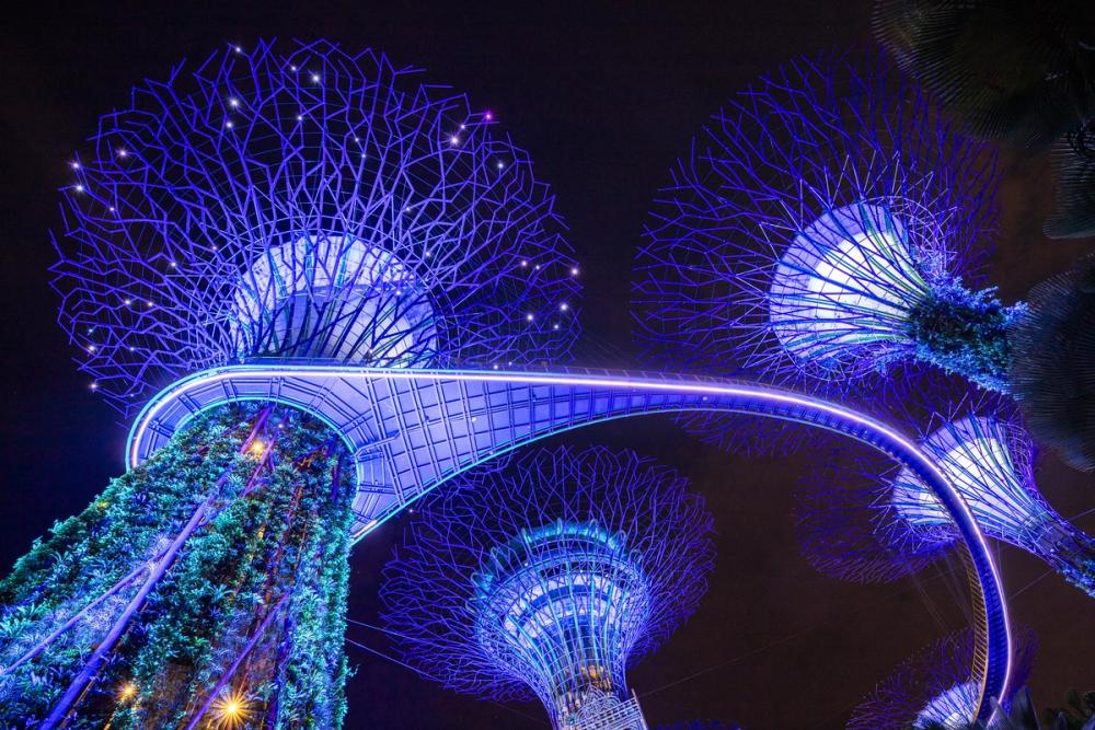 Looking at the Gardens