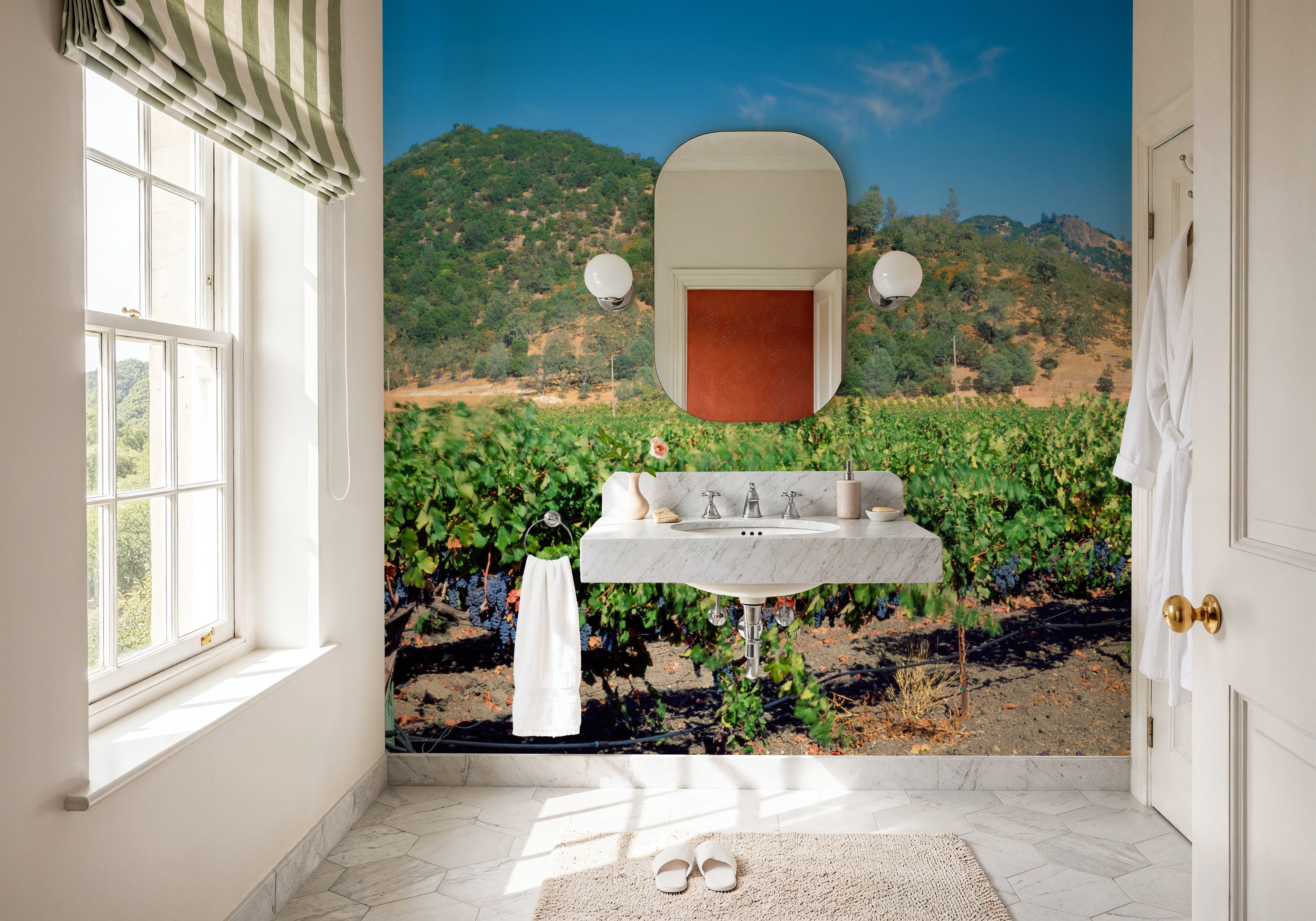 Vineyard Splendor