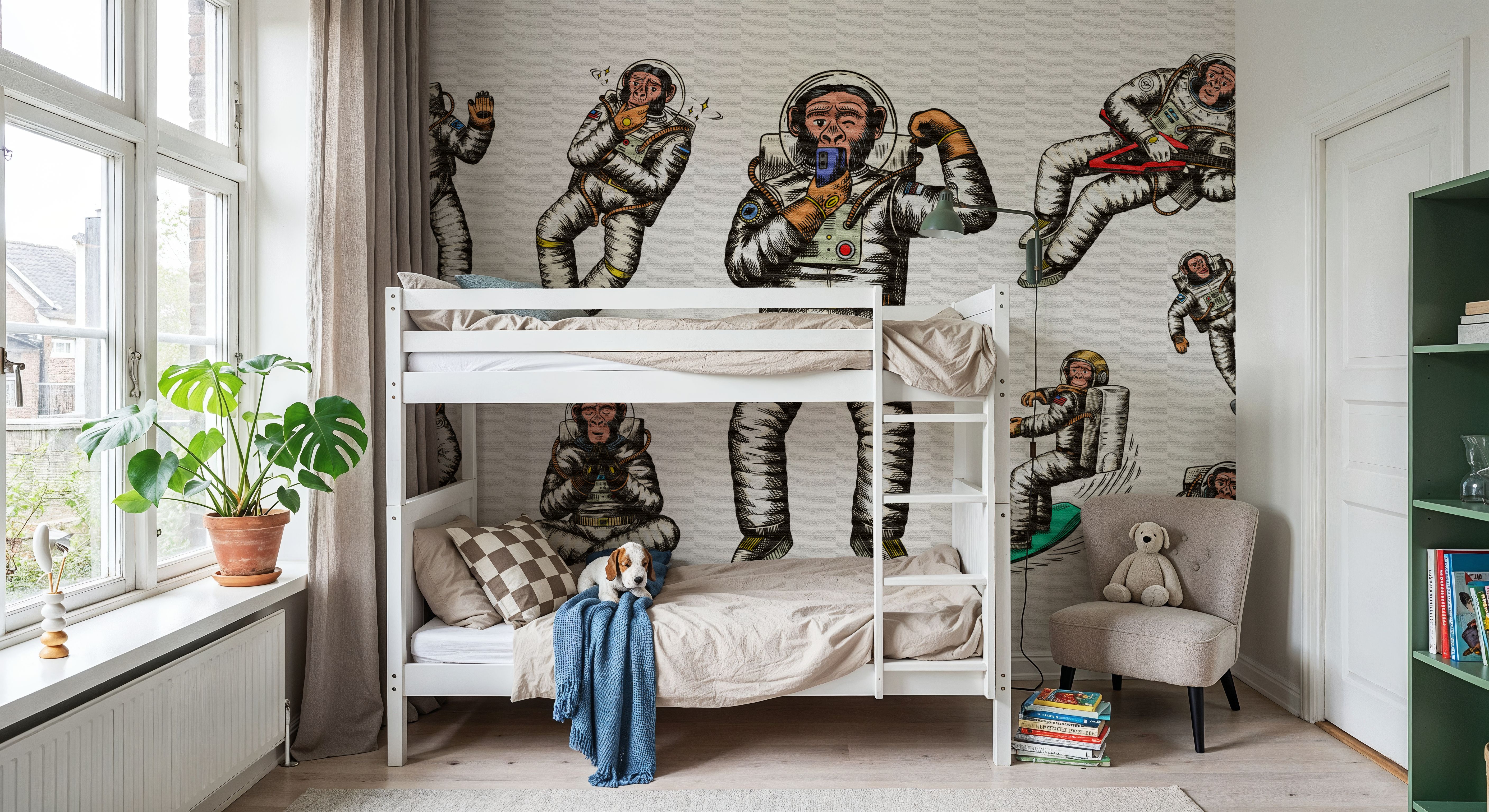 Space Monkey