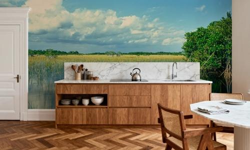 Everglades Mangrove