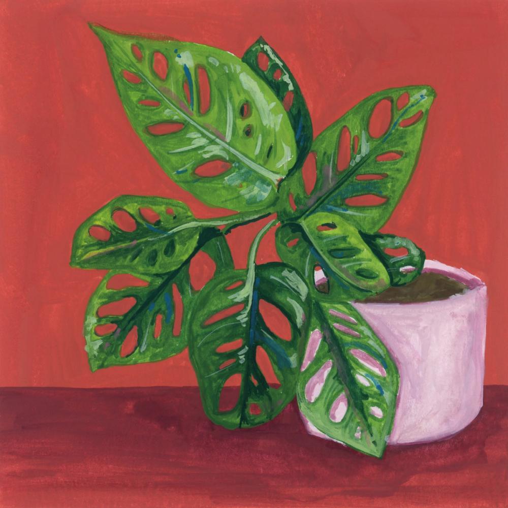 Monstera Study