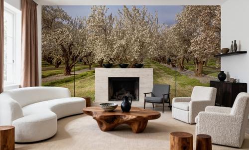 Blooming Almond Grove