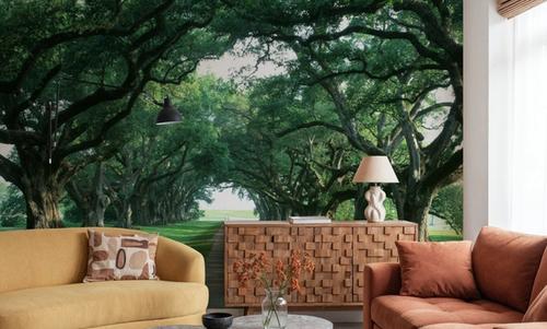 Ancient Oak Avenue