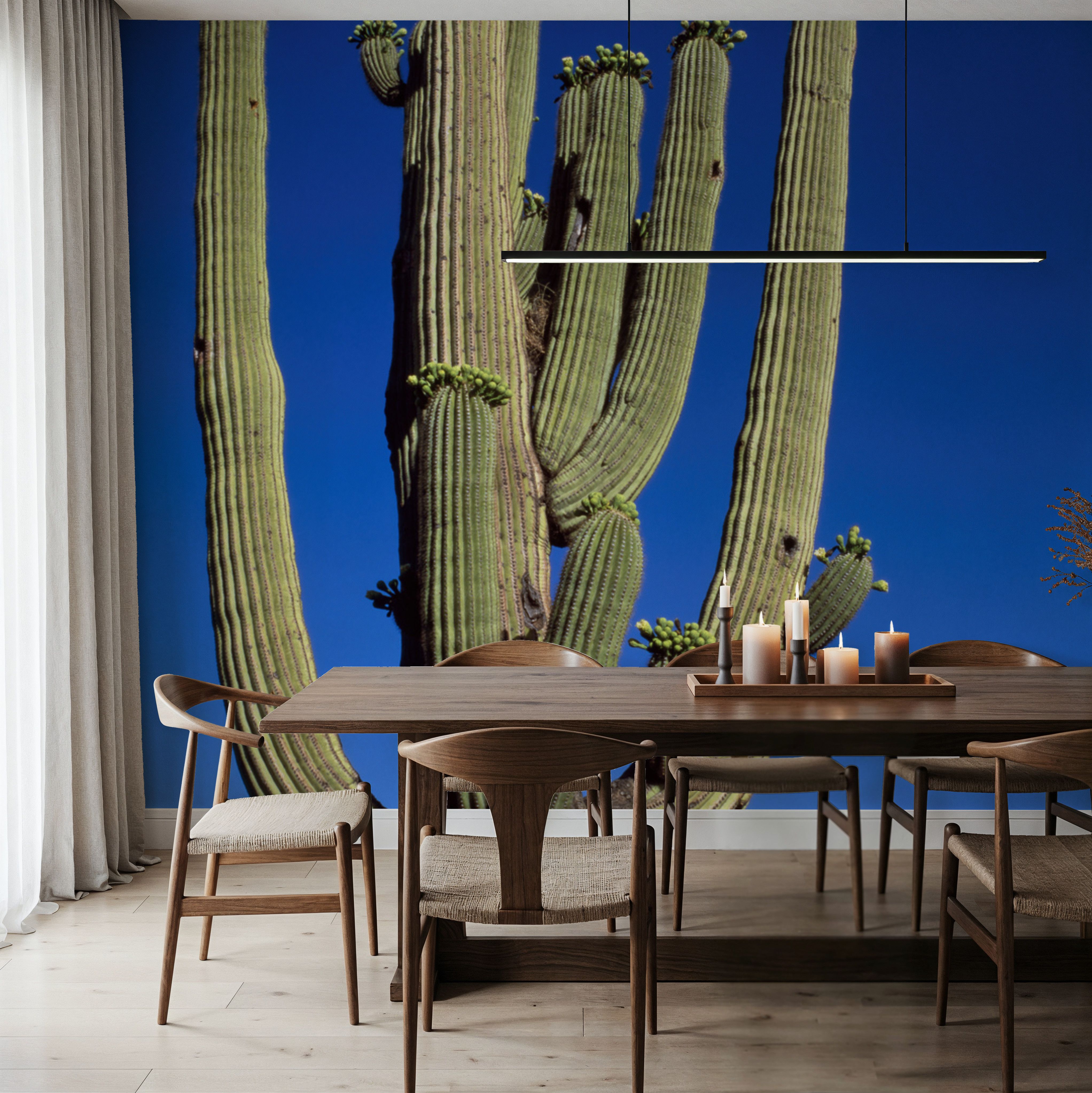Moonlit Saguaro