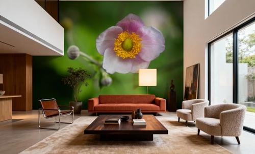 Autumn Anemone