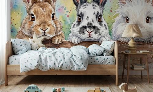 Rabbits - Cute Baby Animals Series