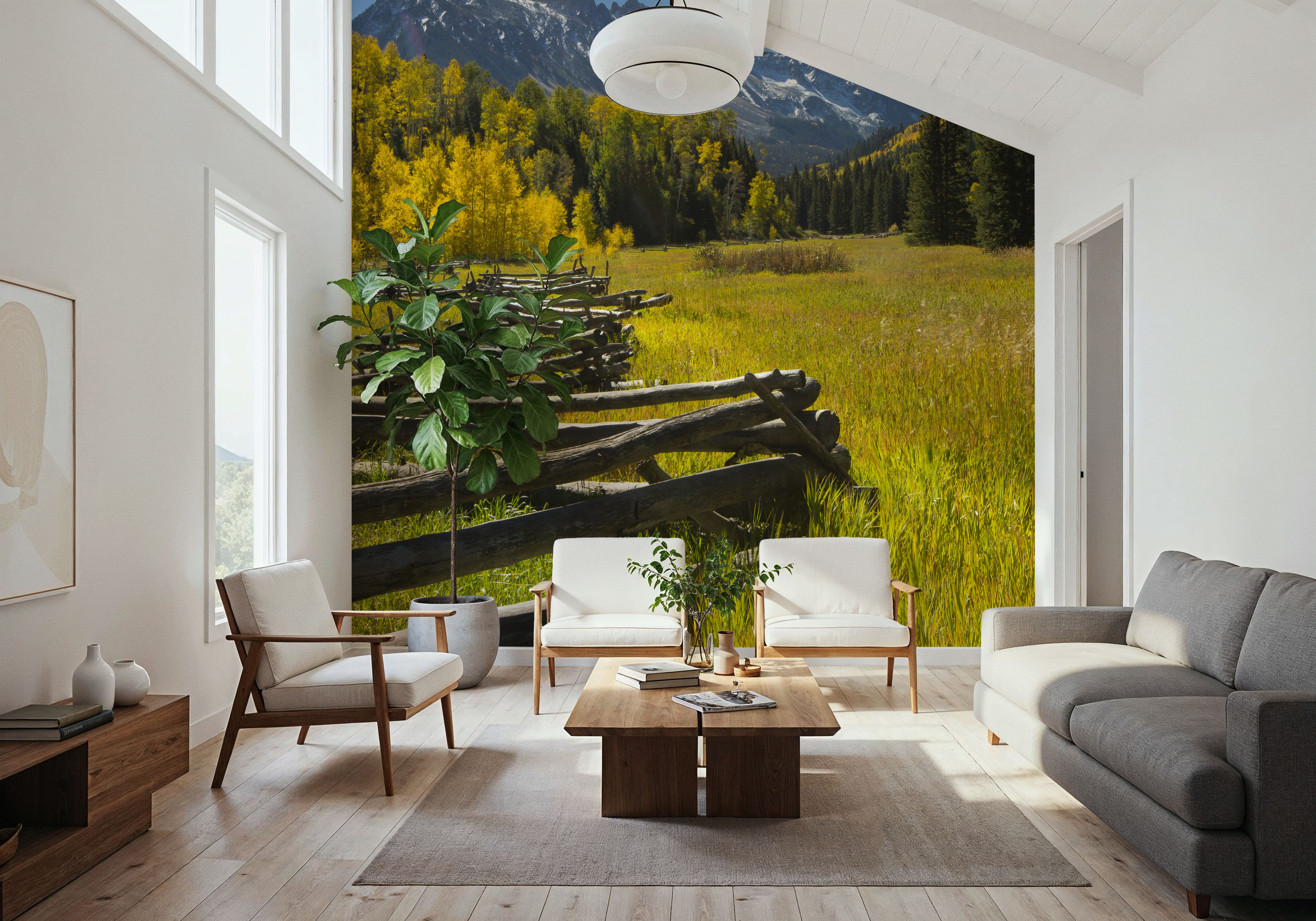 Mountain Meadow Path