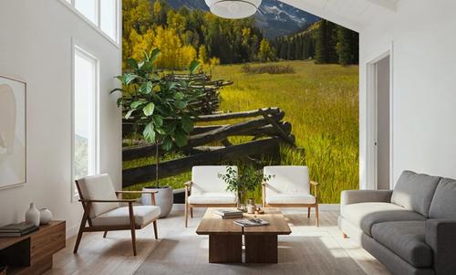 Mountain Meadow Path