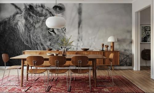 Young Lion BW