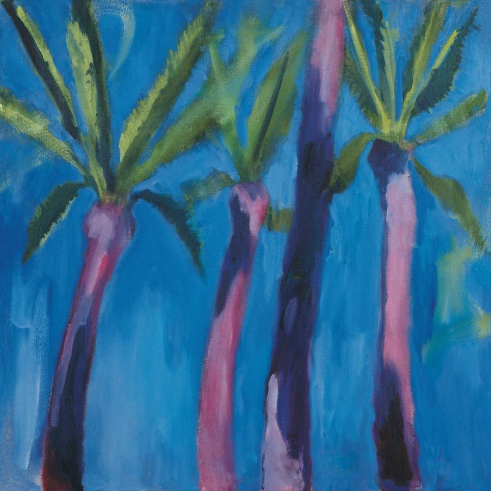 Palm Trees