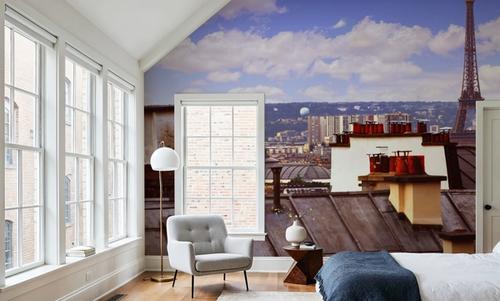 Parisian Rooftop Vista