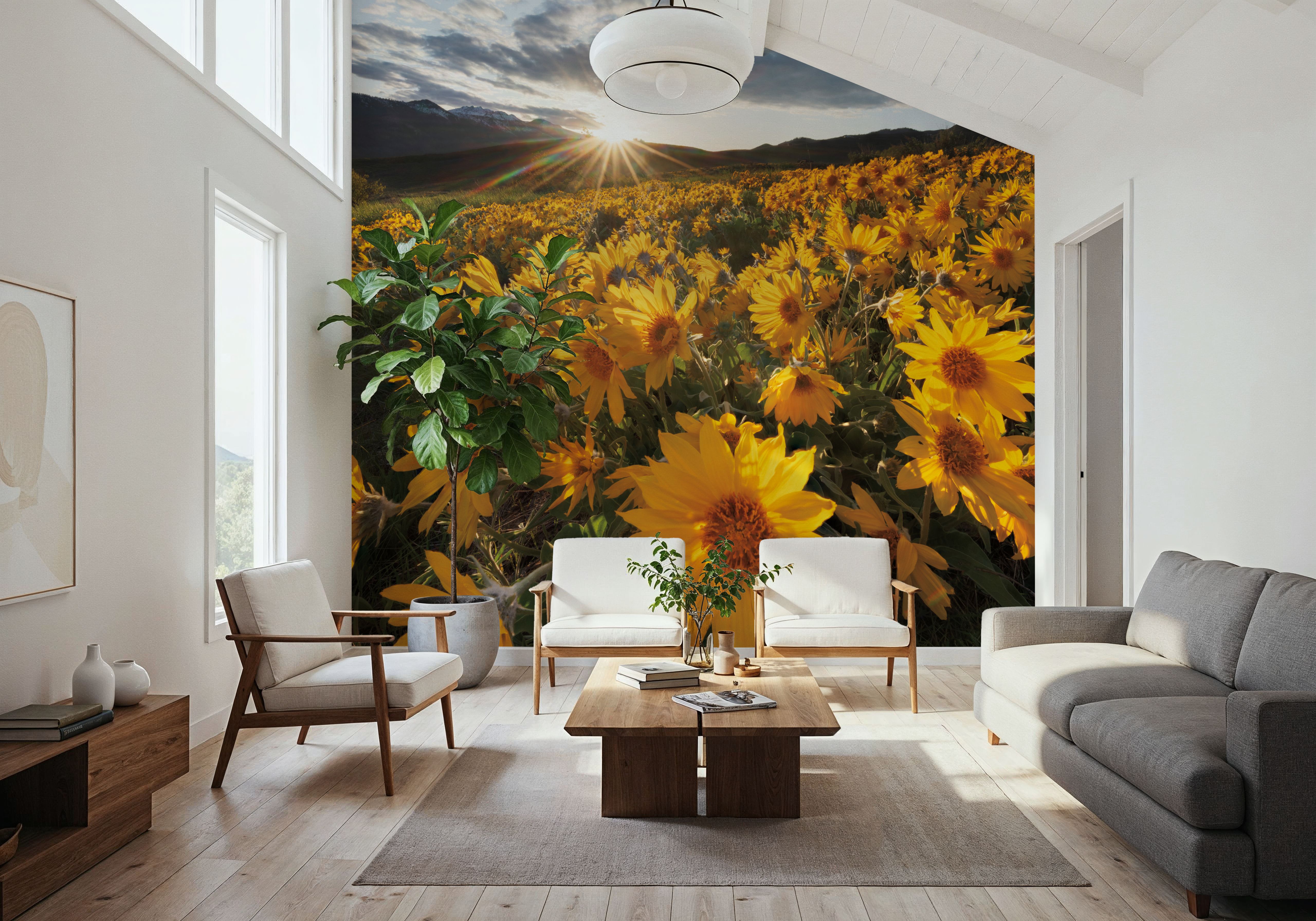 Methow Valley Wildflowers III