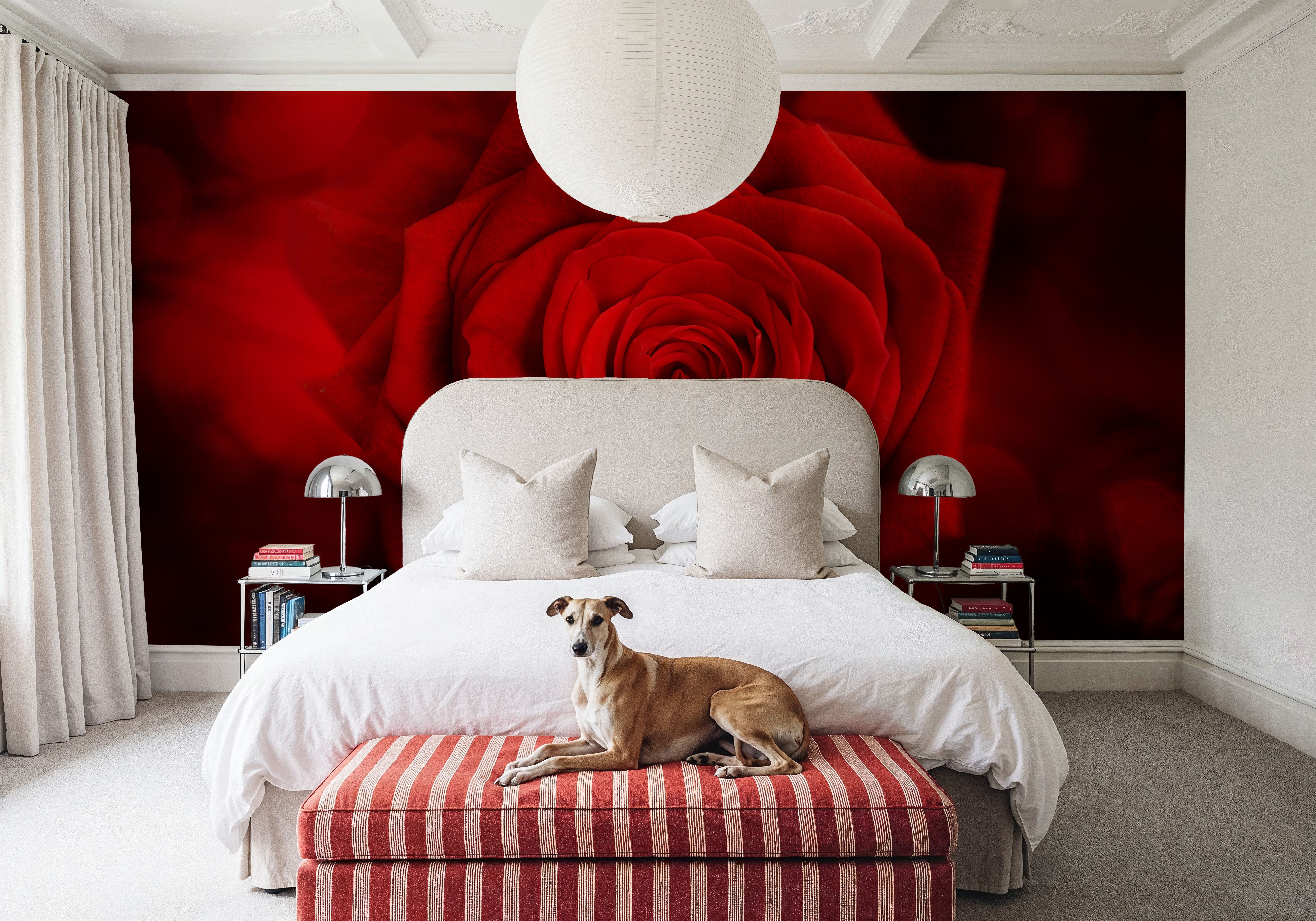 Velvet Rose