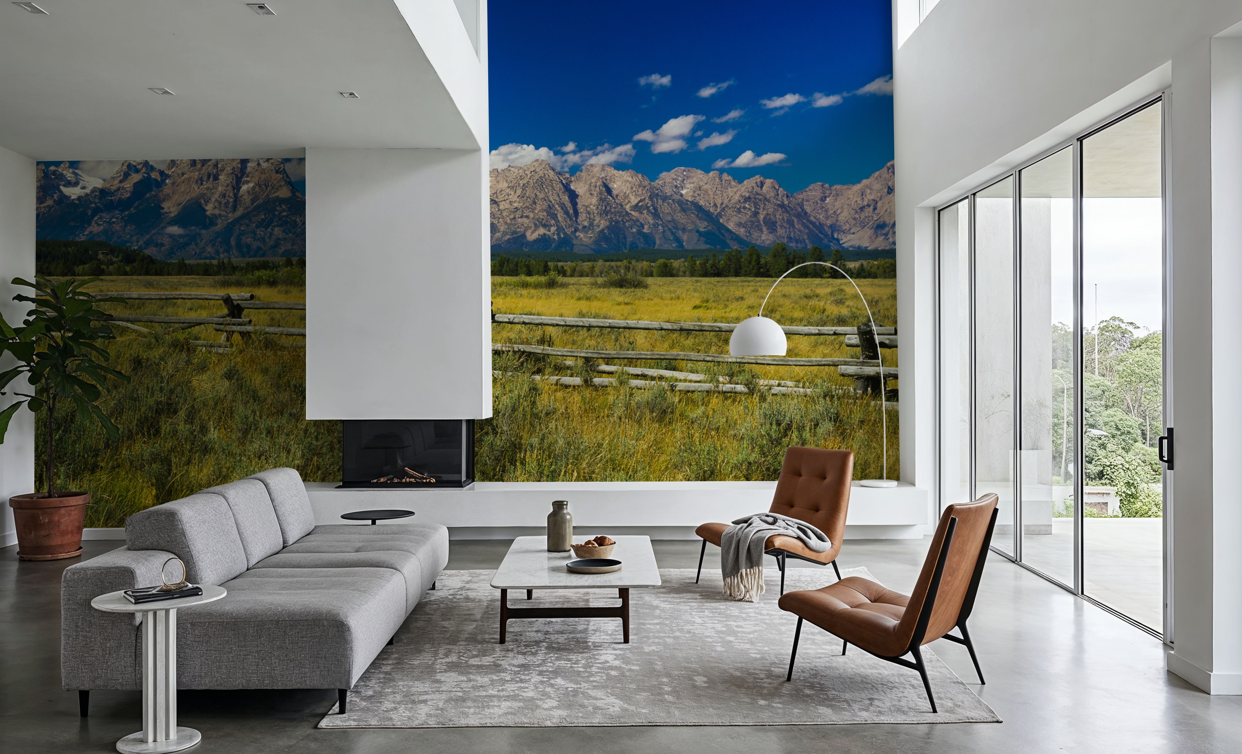 Grand Teton Range Field