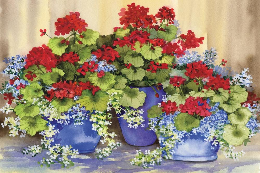 Red Geraniums