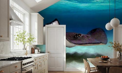 Ocean Glider