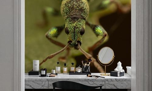 Green Beetle II