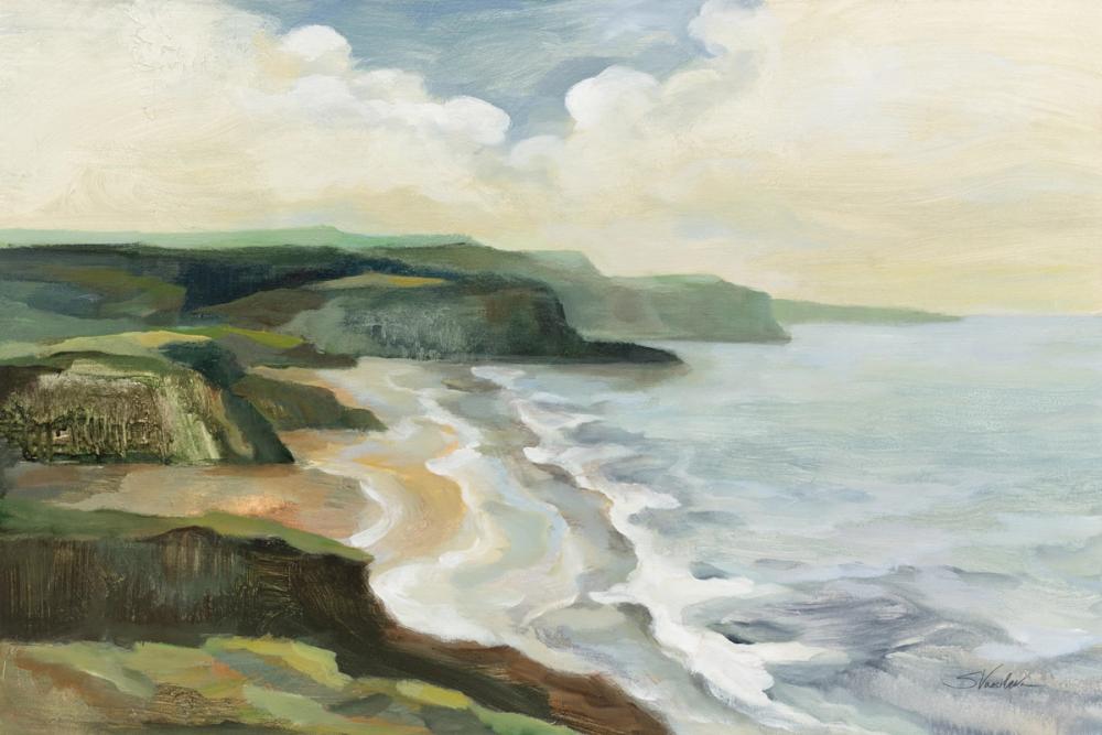 Irish Coast