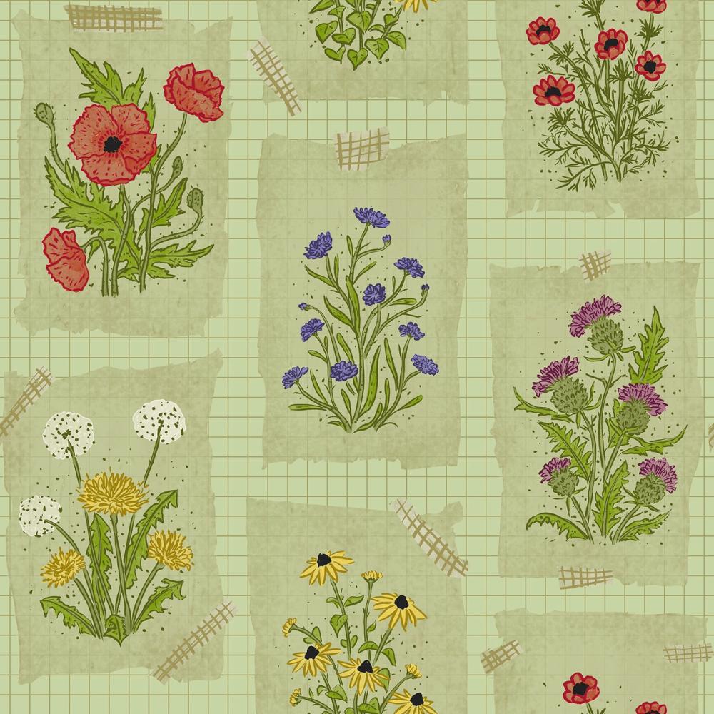 Wildflower Collage, Pistachio