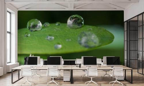 Droplets
