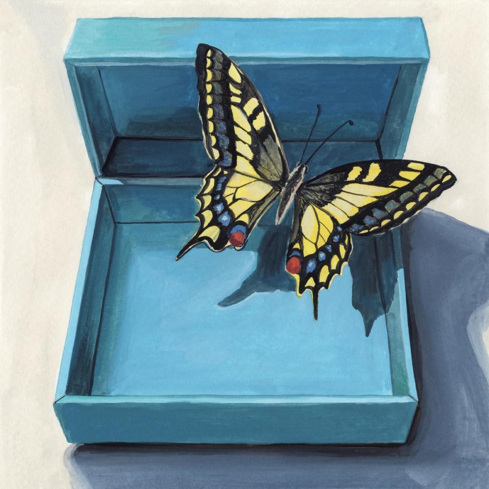 Out Of The Box