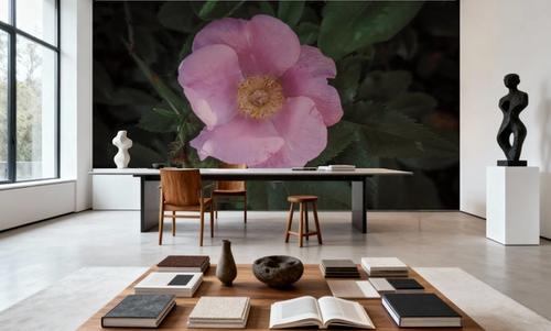 Wild Rose VII