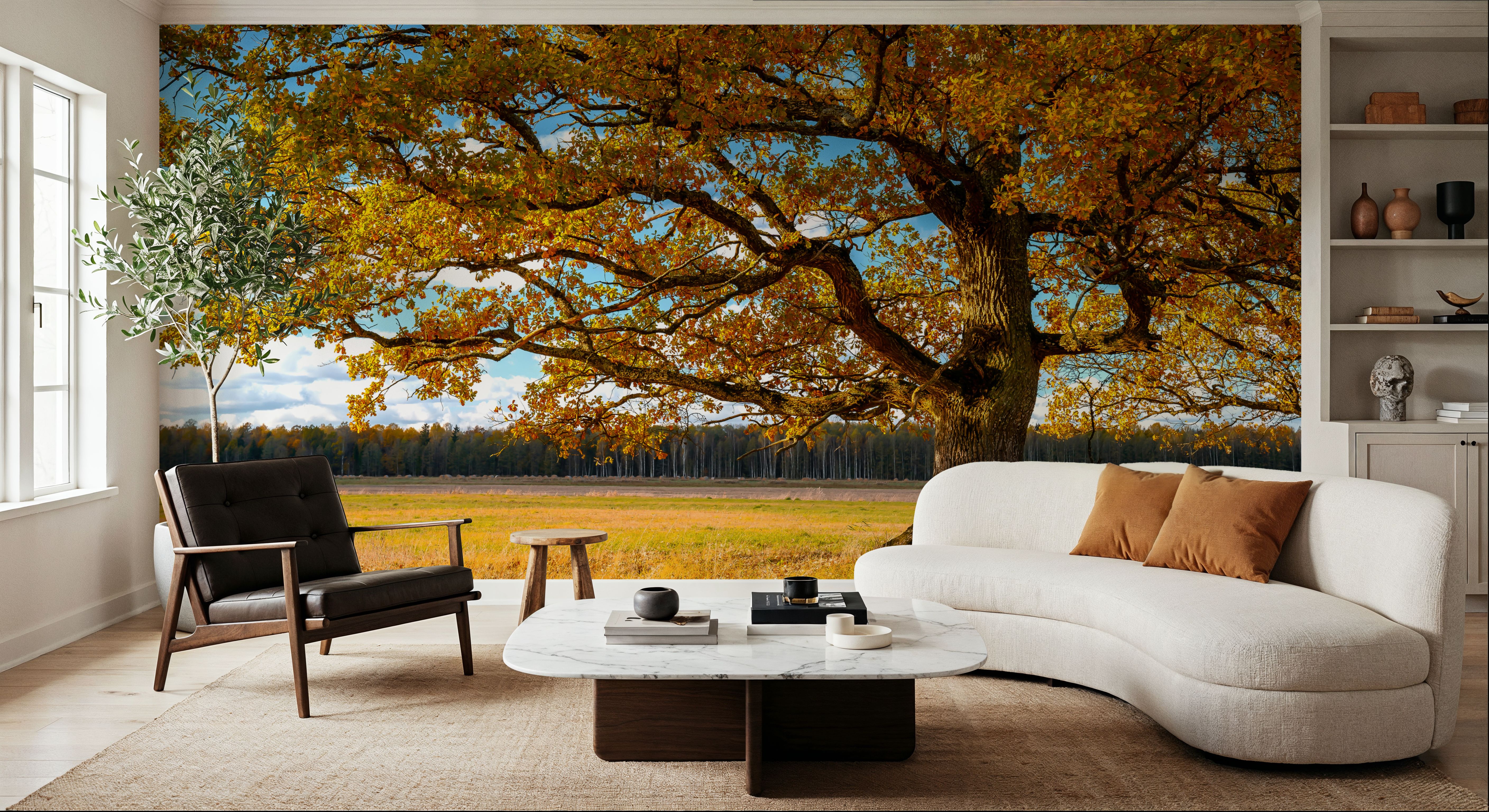 Golden Fall Tree Afternoon